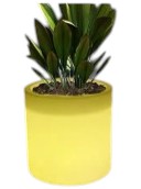 FloraGlow