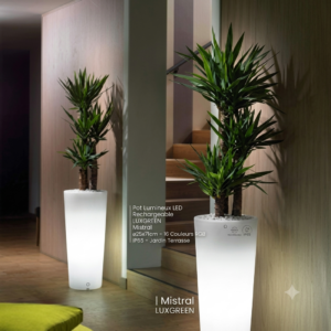 Pot Lumineux LED Rechargeable LUXGREEN Mistral Ø25x71cm – 16 Couleurs RGB IP65 – Jardin Terrasse | Mistral LUXGREEN